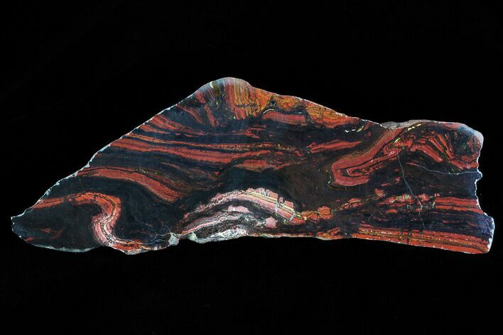 Polished Tiger Iron Stromatolite - ( Billion Years) #75848